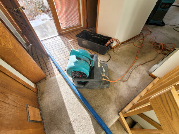 Best Fire Damage Restoration  in Chittenango, NY