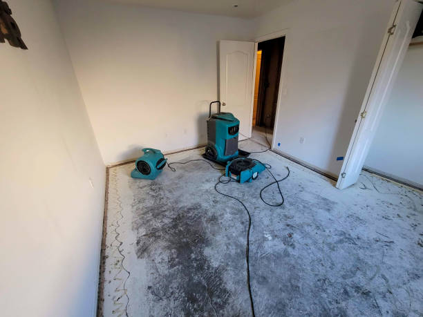 Best 24/7 water damage repair  in Chittenango, NY