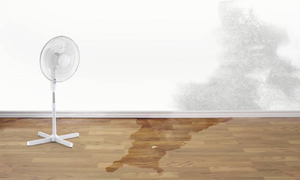 Best Local water damage restoration  in Chittenango, NY