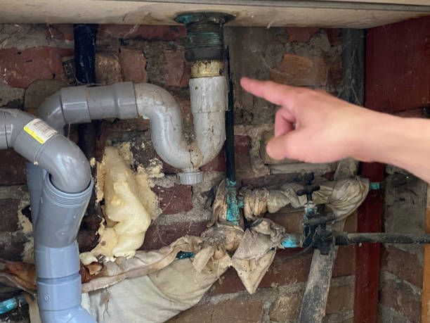 Best Water damage cleanup near me  in Chittenango, NY